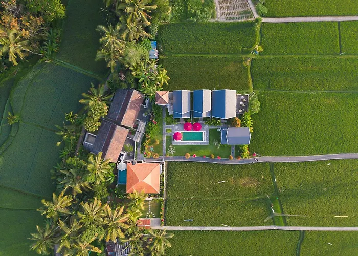 Villa Niniku