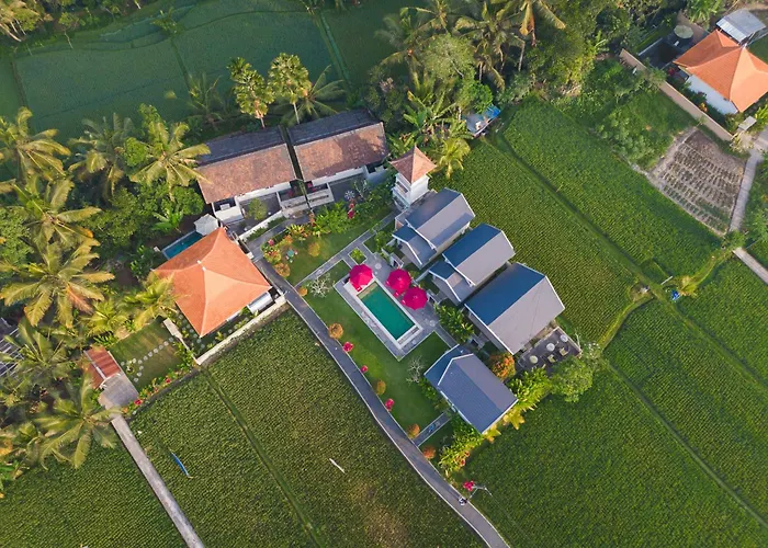 Niniku Ubud