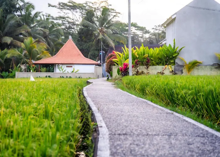 Niniku Ubud